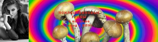 кокаин колумбия Елабуга