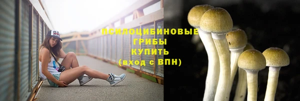 мдпв Навашино