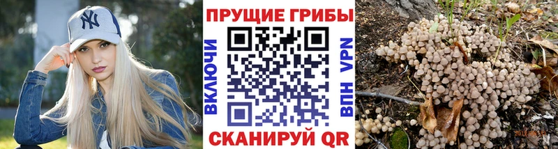 маркетплейс клад  Болохово  Галлюциногенные грибы прущие грибы  hydra  