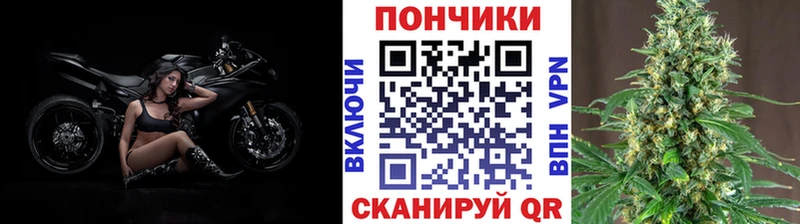 нарко площадка клад  Болохово  Шишки марихуана тримм 